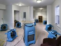 Quick Carpet Cleaners image 1